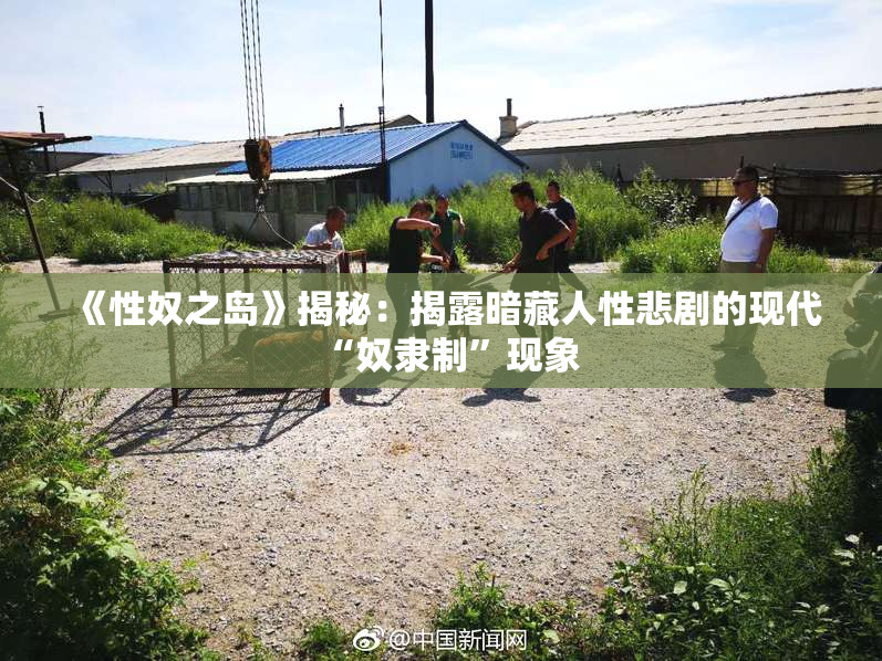 《性奴之岛》揭秘：揭露暗藏人性悲剧的现代“奴隶制”现象