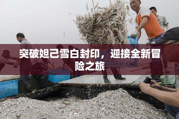 突破妲己雪白封印，迎接全新冒险之旅