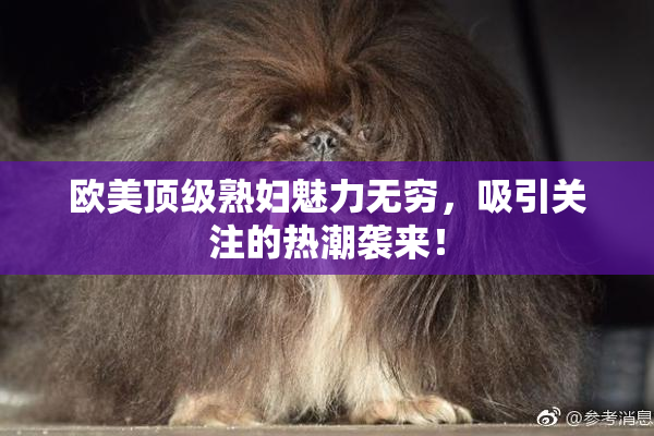 欧美顶级熟妇魅力无穷，吸引关注的热潮袭来！