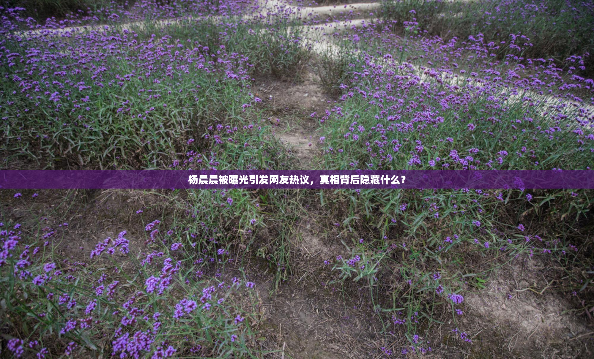 杨晨晨被曝光引发网友热议，真相背后隐藏什么？