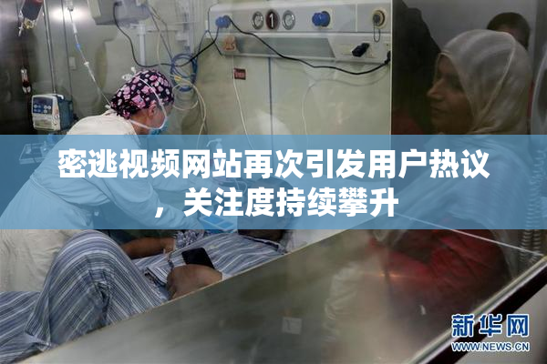 密逃视频网站再次引发用户热议，关注度持续攀升