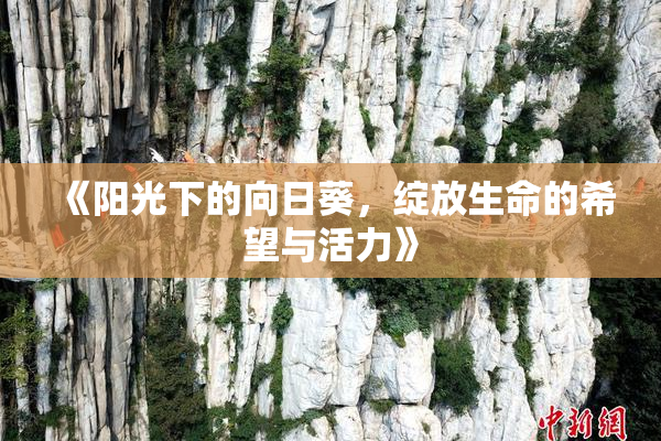 《阳光下的向日葵，绽放生命的希望与活力》