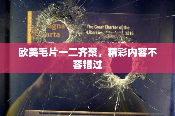 欧美毛片一二齐聚，精彩内容不容错过