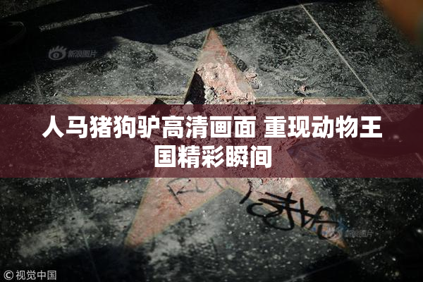 人马猪狗驴高清画面 重现动物王国精彩瞬间