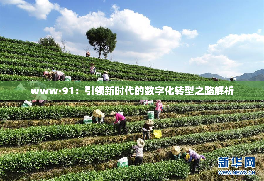 www·91：引领新时代的数字化转型之路解析