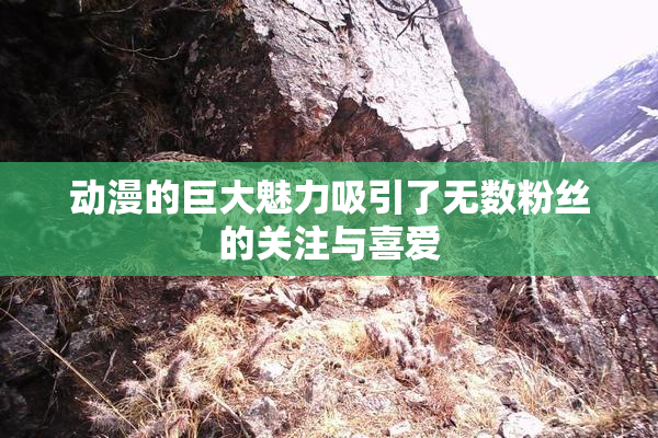 动漫的巨大魅力吸引了无数粉丝的关注与喜爱