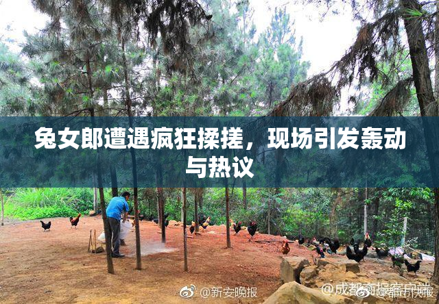 兔女郎遭遇疯狂揉搓，现场引发轰动与热议