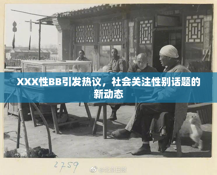 XXX性BB引发热议，社会关注性别话题的新动态