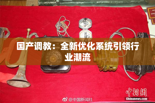 国产调教：全新优化系统引领行业潮流