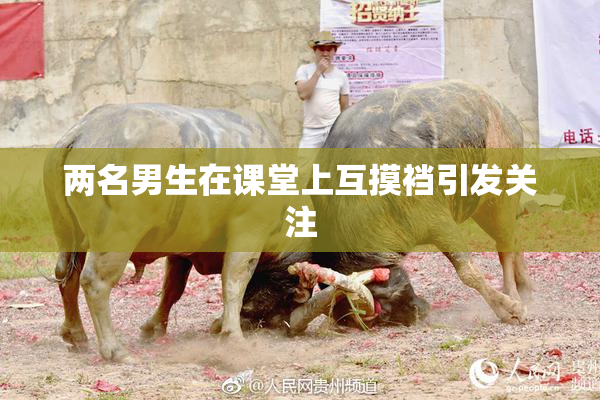 两名男生在课堂上互摸裆引发关注