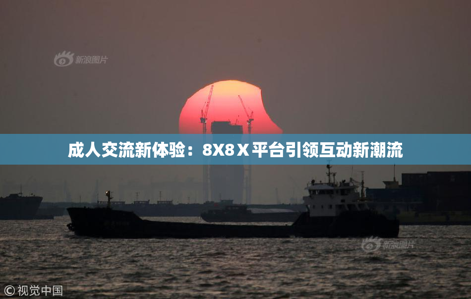 成人交流新体验：8X8Ⅹ平台引领互动新潮流