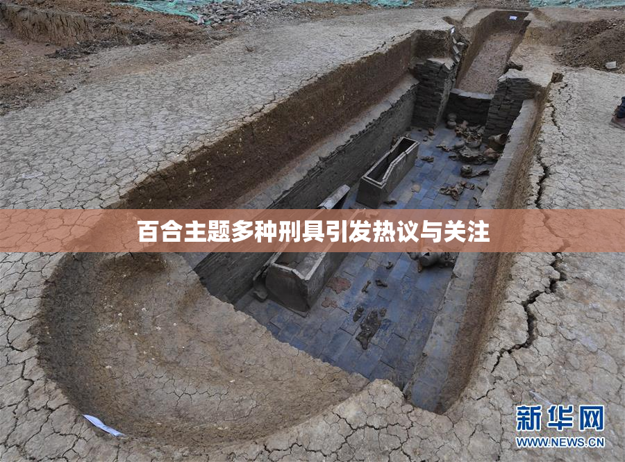 百合主题多种刑具引发热议与关注