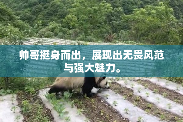 帅哥挺身而出，展现出无畏风范与强大魅力。