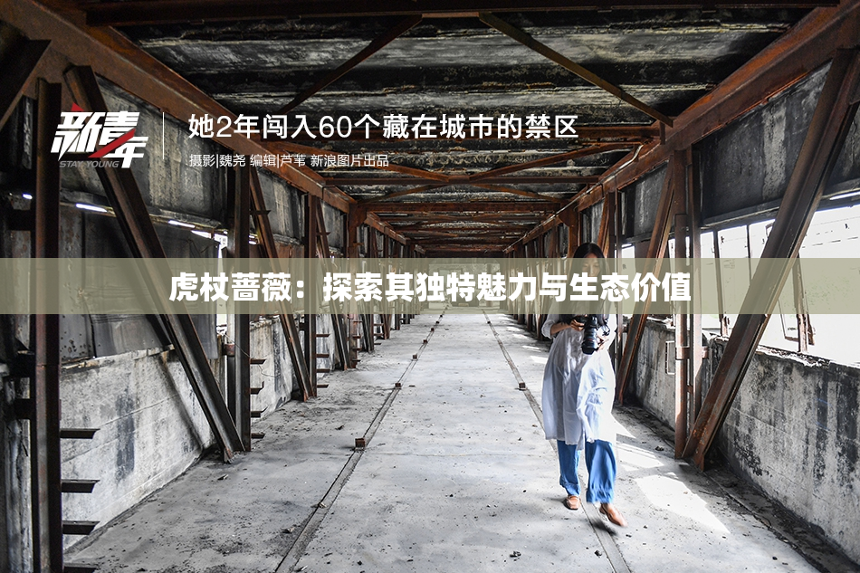 虎杖蔷薇：探索其独特魅力与生态价值