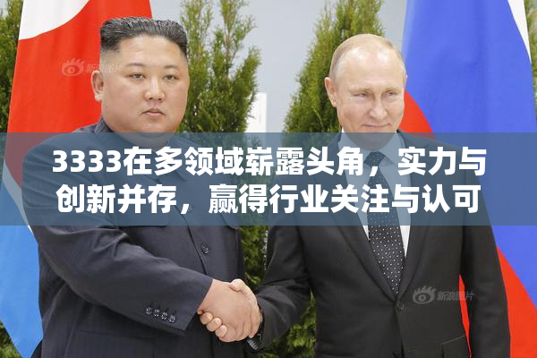 3333在多领域崭露头角，实力与创新并存，赢得行业关注与认可