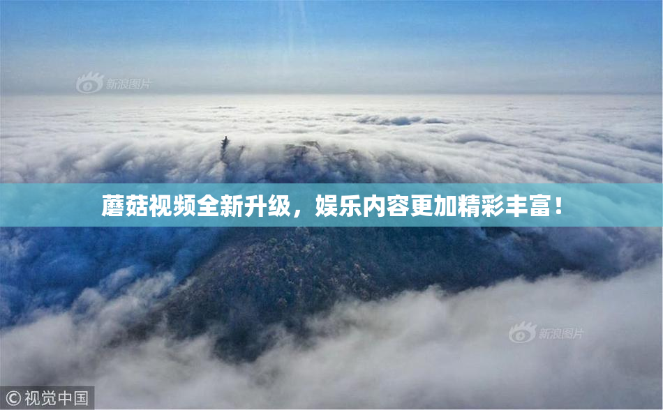 蘑菇视频全新升级，娱乐内容更加精彩丰富！