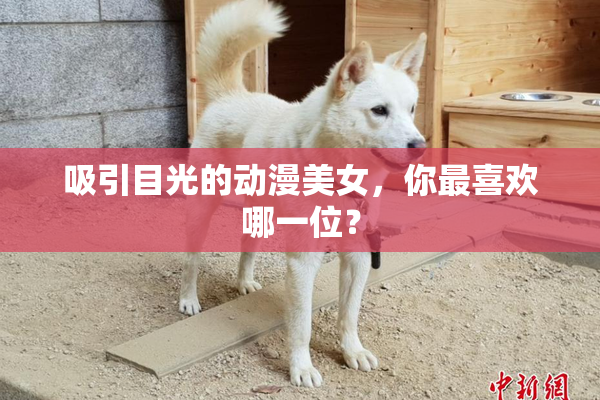 吸引目光的动漫美女，你最喜欢哪一位？