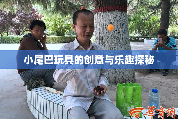 小尾巴玩具的创意与乐趣探秘