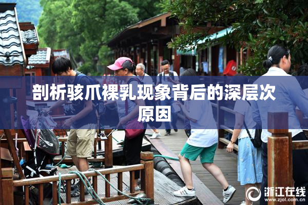 剖析骇爪裸乳现象背后的深层次原因