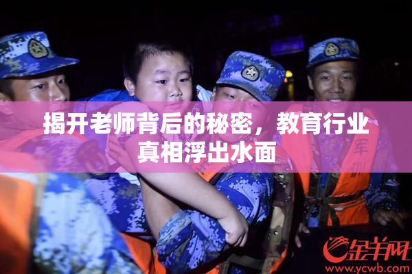揭开老师背后的秘密，教育行业真相浮出水面