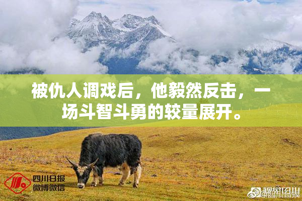 被仇人调戏后，他毅然反击，一场斗智斗勇的较量展开。