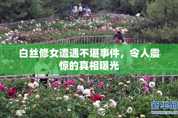 白丝修女遭遇不堪事件，令人震惊的真相曝光