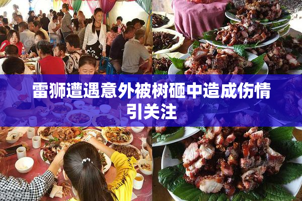 雷狮遭遇意外被树砸中造成伤情引关注
