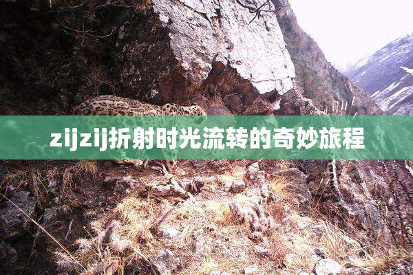 zijzij折射时光流转的奇妙旅程