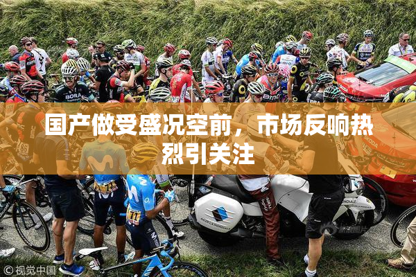 国产做受盛况空前，市场反响热烈引关注