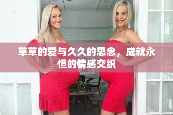 草草的爱与久久的思念，成就永恒的情感交织