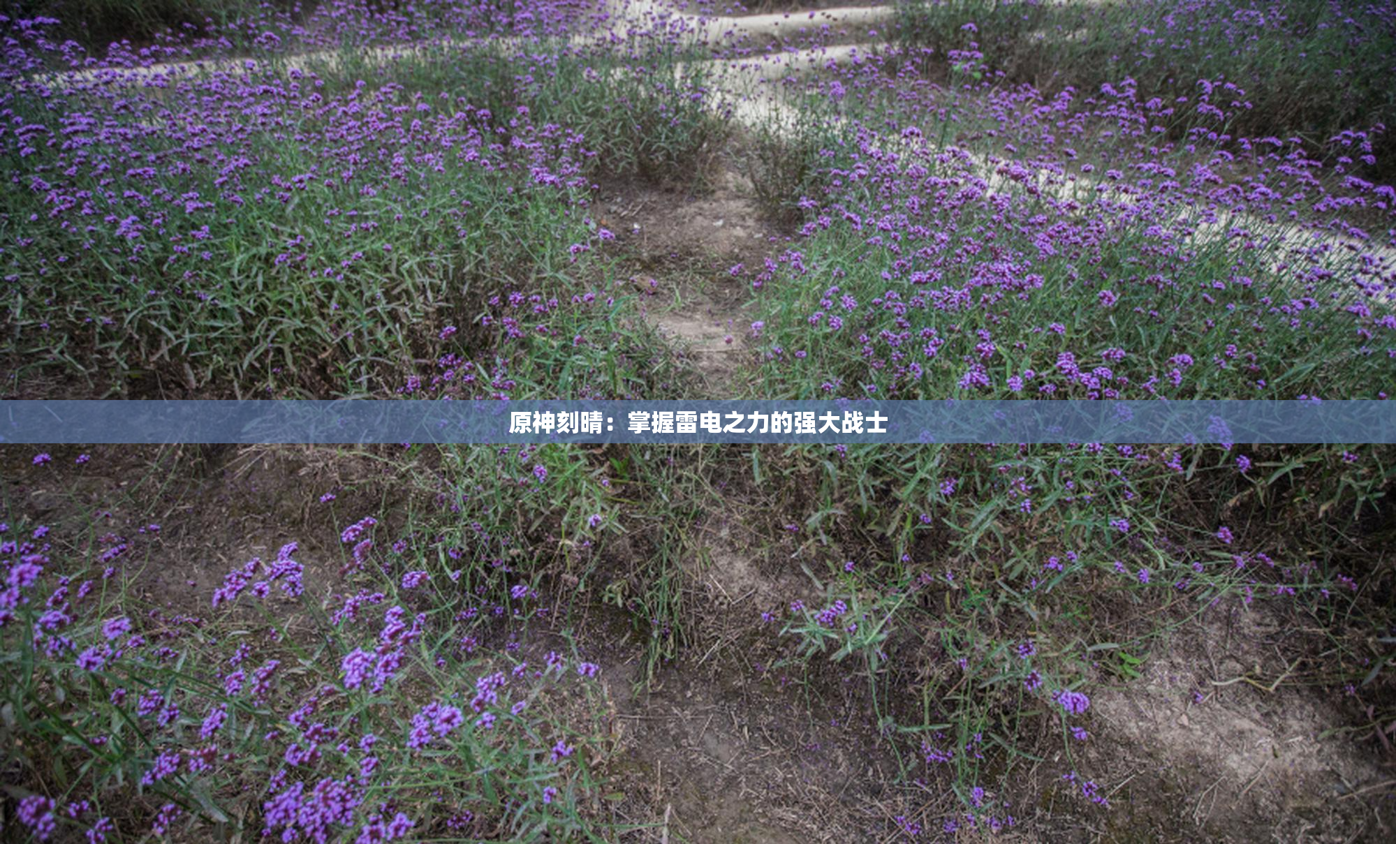 原神刻晴：掌握雷电之力的强大战士
