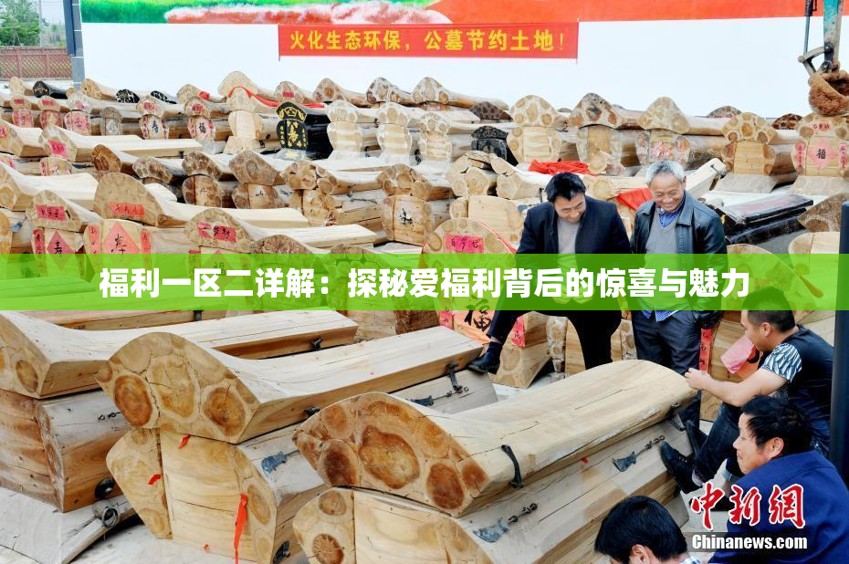 福利一区二详解：探秘爱福利背后的惊喜与魅力