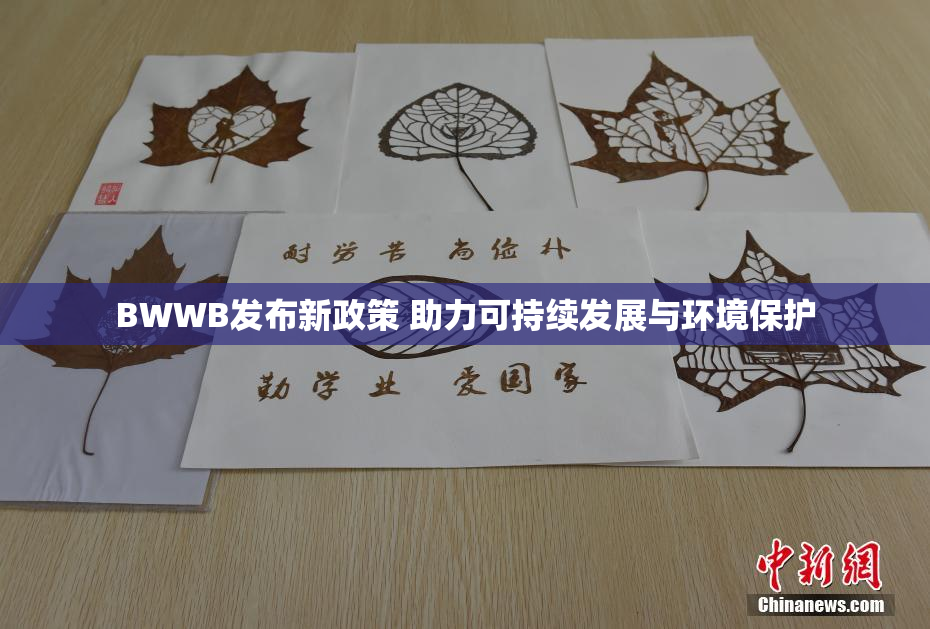 BWWB发布新政策 助力可持续发展与环境保护