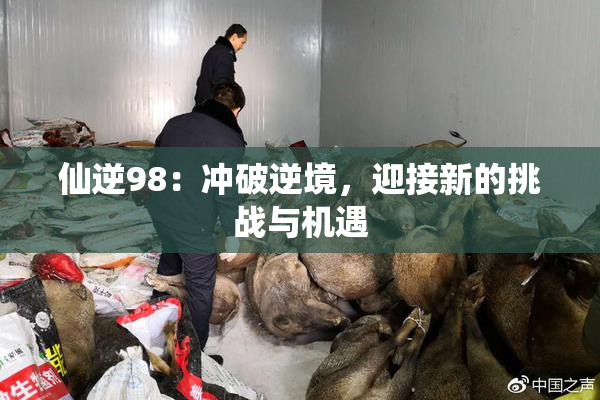 仙逆98：冲破逆境，迎接新的挑战与机遇