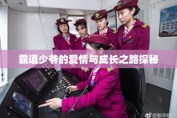 霸道少爷的爱情与成长之路探秘