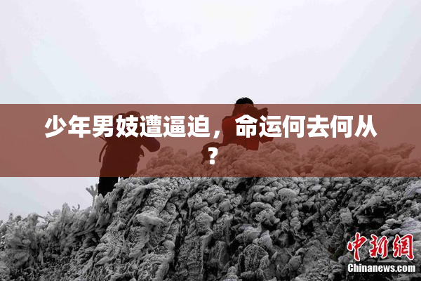 少年男妓遭逼迫，命运何去何从？