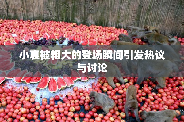 小哀被粗大的登场瞬间引发热议与讨论