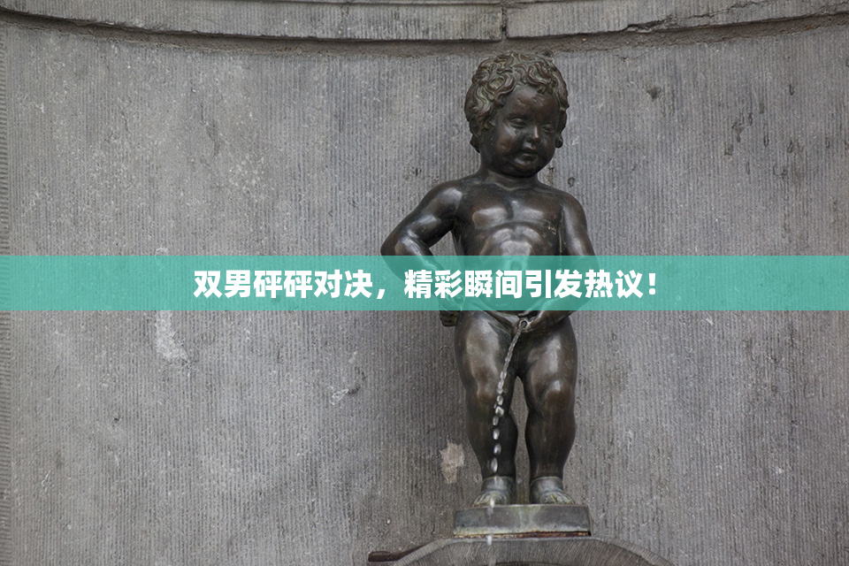 双男砰砰对决，精彩瞬间引发热议！
