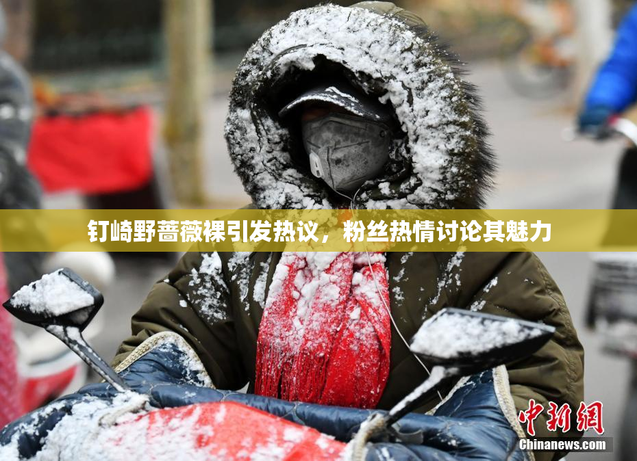 钉崎野蔷薇裸引发热议，粉丝热情讨论其魅力