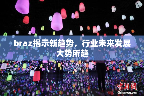 braz揭示新趋势，行业未来发展大势所趋