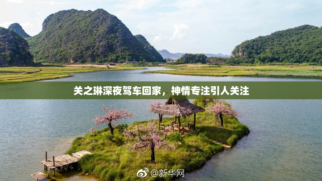 关之琳深夜驾车回家，神情专注引人关注