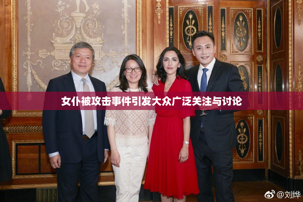 女仆被攻击事件引发大众广泛关注与讨论