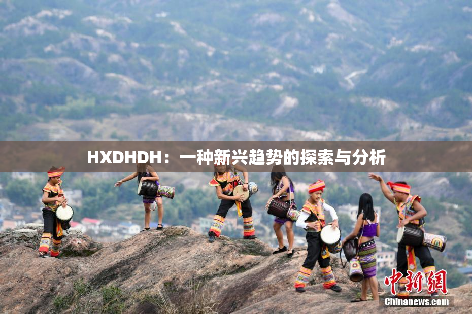 HXDHDH：一种新兴趋势的探索与分析