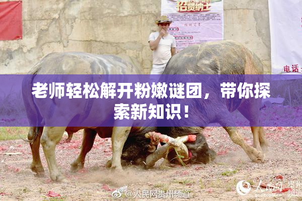 老师轻松解开粉嫩谜团，带你探索新知识！