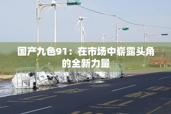 国产九色91：在市场中崭露头角的全新力量