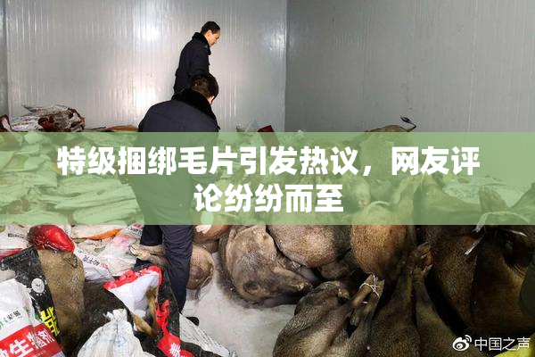 特级捆绑毛片引发热议，网友评论纷纷而至