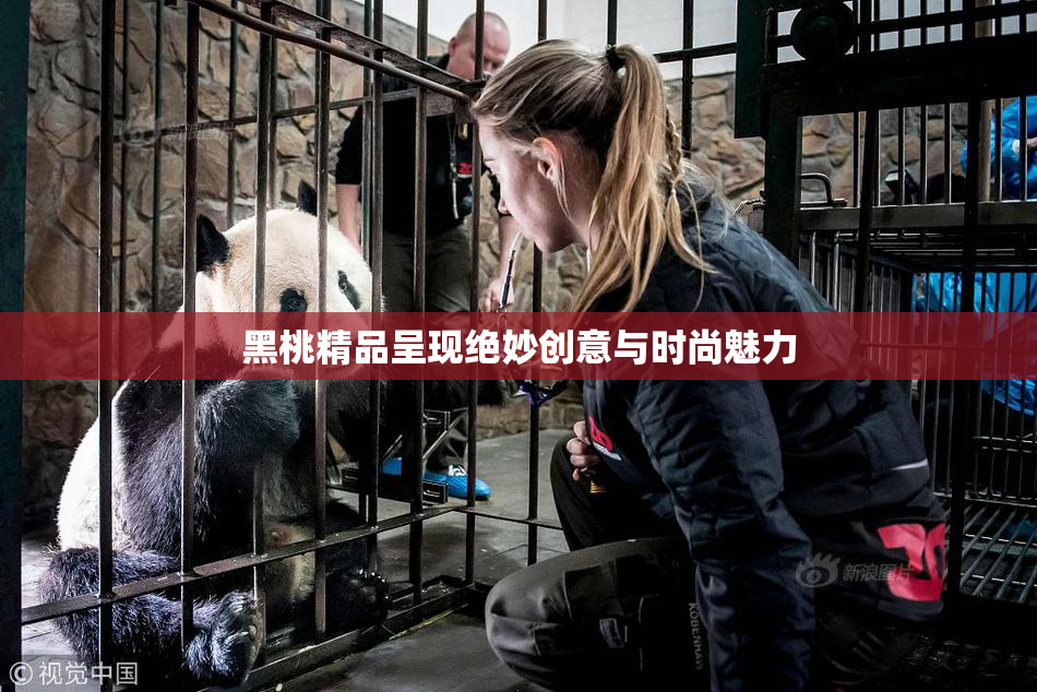 黑桃精品呈现绝妙创意与时尚魅力