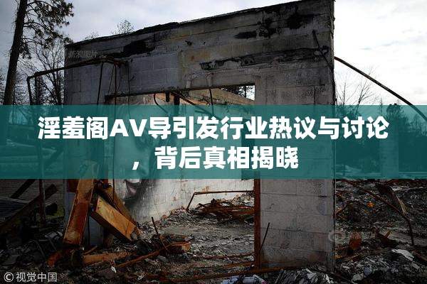 淫羞阁AV导引发行业热议与讨论，背后真相揭晓