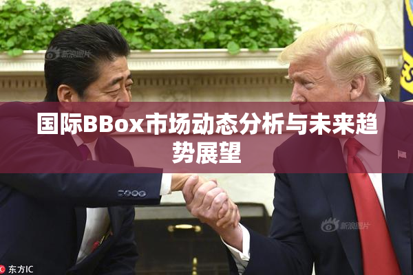 国际BBox市场动态分析与未来趋势展望