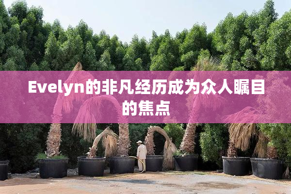 Evelyn的非凡经历成为众人瞩目的焦点